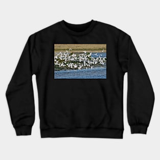 Le Conquet - L'envol Crewneck Sweatshirt